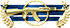 Телохранитель